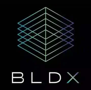 cropped-cropped-bldx-logo-black-no-border